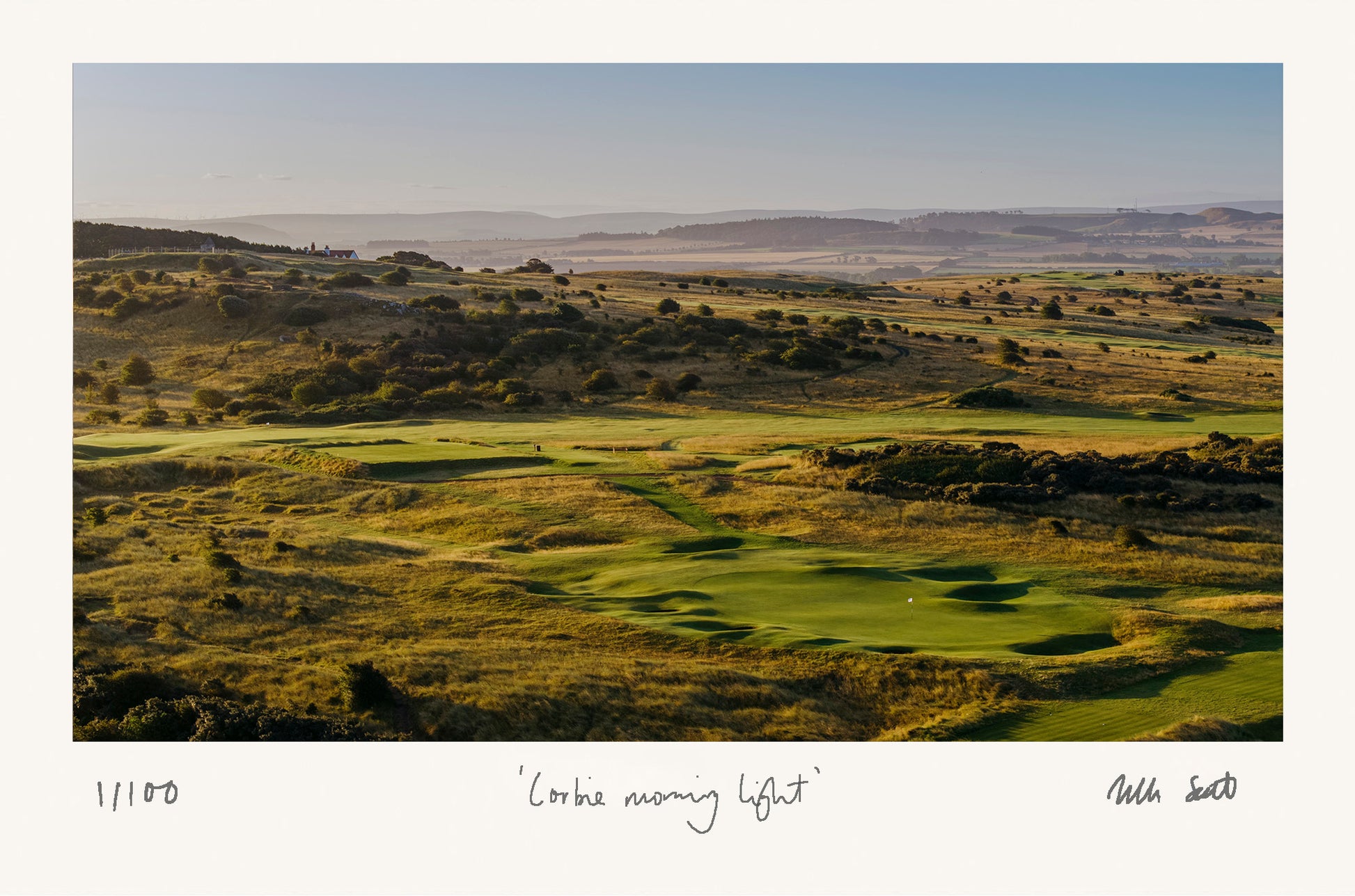 Corbie Morning Light