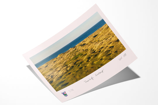 Fraserburgh Dunescape