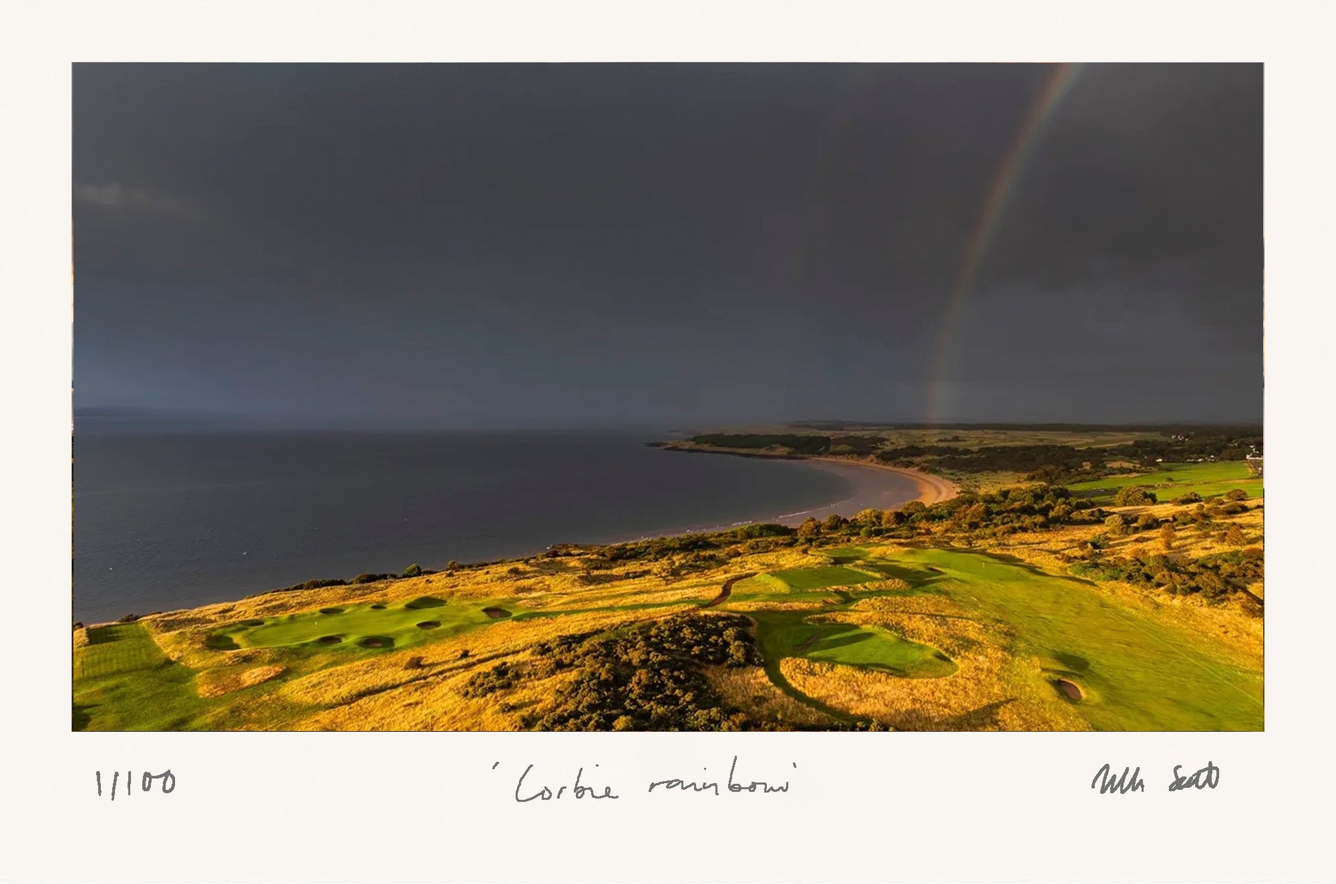 Corbie Rainbow